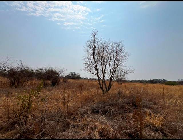 FARM FOR SALE IN BULTFONTEIN A H